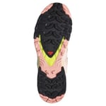 Salomon XA PRO 3D V9 GTX W Yürüyüş AyakkabısıKadın