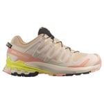 Salomon XA PRO 3D V9 GTX W Yürüyüş AyakkabısıKadın