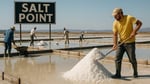 SALT POINT – Doğal Kaynak Yaprak Tuz