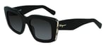 Salvatore Ferragamo Sf1024s 47352 Güneş gözlükleri Üniseks Yetişkin