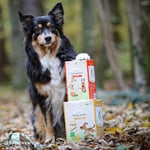 Sammy´s meyve kesimi, meyveli, pişmiş atıştırmalıklar, köpekler için, elma ve mürver ile, 1 x 800 g