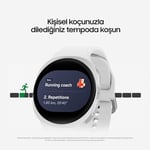 Samsung Galaxy Watch8 Koyu Gri, Bluetooth, 40mm Akıllı Saat (Samsung Türkiye Garantili) - Bedenler: 40mm, 44mm, 46mm, Galaxy Watch8, Galaxy Watch8 Classic