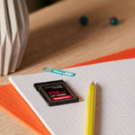 SanDisk Extreme Pro CFexpress hafıza kartı Tip B 256 GB (1.700 MB/s okuma, 1.200 MB/s yazma, RescuePRO Deluxe, sorunsuz RAW videolar, 4K, XQD uyumluluğu)