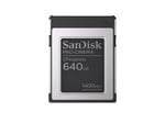 SanDisk PRO-CINEMA CFexpress Tip B hafıza kartı 640 GB (CFexpress teknolojisine sahip sinema kameralarının kullanımı için, 8K çekim, 1.700 MB/sn'ye kadar okuma, 1 metreye kadar düşme direnci