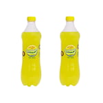Sarıyer Limonata Pet 250 ml (2 paketi)