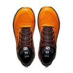 Scarpa