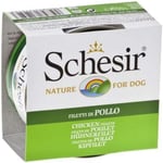 Schesir Jelly Tavuk Fileto Jöle İçinde Yetişkin Köpek Konservesi 150g