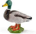 Schleich Farm World Erkek Ördek, Figür, ‎5 x 2.9 x 4.5 cm, 3+ Yaş