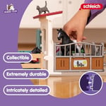 Schleich Horse Club —Kısrak ve Taylı At Oyun Seti