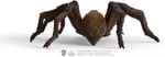 SCHLEICH HP Aragog Oyuncak