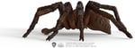 SCHLEICH HP Aragog Oyuncak