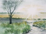 Schmincke - HORADAM® AQUARELL, Süper Granülasyon, 14 931 006 Shire Sarı, 15 ml tüp, çok güçlü granülasyonlu renkler, en iyi, süper granüllü suluboya