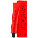 Schwarzkopf Igora Royal Saç Boyası 60ml-No - 3.0 Koyu Kahve