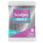 Sculpey Iii Polimer Kil Gümüş 57Gr