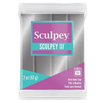 Sculpey Iii Polimer Kil Gümüş 57Gr