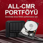 Seagate IronWolf Pro, 4 TB, Kurumsal NAS Dahili Sabit Disk HDD – CMR 3,5”, SATA 6 Gb/sn, 7200 Devir/Dakika, 256 MB Önbellek, R - Seçenekler: Barracuda Pro, HDD, IronWolf, IronWolf HDD, IronWolf Pro...
