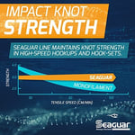 Seaguar Blue Label florokarbon olta ipi, orijinal Fluoro lideri, inanılmaz darbe ve aşınma direnci, hızlı batar, sağlamlık ve yumuşaklık için çift yapı