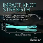 Seaguar Blue Label Tuzlu Su Balıkçılık Lider Misinası, %100 Florokarbon, Şeffaf, Çeşitli Boyutlar