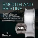 Seaguar Blue Label Tuzlu Su Balıkçılık Lider Misinası, %100 Florokarbon, Şeffaf, Çeşitli Boyutlar