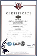 SELKUR Kabak Çekirdeği Içi 1kg(ÇİĞ, TUZSUZ)