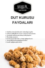 SELKUR Kuru Dut 200gr Dut Kurusu Ulukale (DOĞAL KURUTULMUŞ,KATKISIZ)