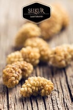 SELKUR Kuru Dut 200gr Dut Kurusu Ulukale (DOĞAL KURUTULMUŞ,KATKISIZ)