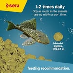 Sera Wels Cips Balık Tablet Yemi 250 ml