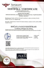 Sertifikalı Katkısız Çiğ Kabak Çekirdeği İçi (500 GR)