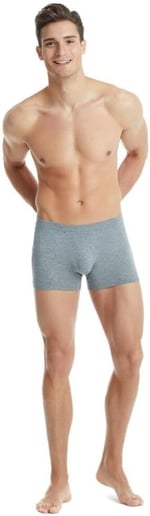 Silver Gri Boxer C0T1N3O9