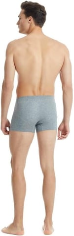 Silver Gri Boxer C0T1N3O9