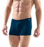 Silver Lacivert Boxer 9310
