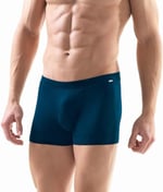 Silver Lacivert Boxer 9310