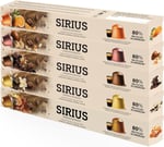 Sirius Premium Aromalı Kapsül Kahve 5'li Set (Karamel-Vanilya-Çikolata-Fındık-Portakal)