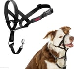 Şirket Hayvanlarının Halti Köpek Halter, Boyut 2 (35-48 cm), Siyah - Seçenekler: 2 (2 paketi)