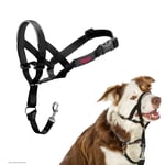 Şirket Hayvanlarının Halti Köpek Halter, Boyut 2 (35-48 cm), Siyah - Seçenekler: 2 (2 paketi)
