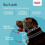 Şirket Hayvanlarının Halti Köpek Halter, Boyut 2 (35-48 cm), Siyah - Seçenekler: 2 (2 paketi)