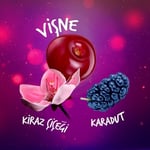 Sırma Karma Karadut ve Kiraz Çiçeği Aromalı Vişneli Doğal Maden Suyu 6x250 ml