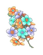 Sketch 6lı set Pale Pastels