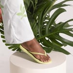 Slim Matcha Green Kadın Terlik 39/40 EU