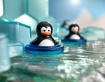 SMART Games Penguins havuzu parti