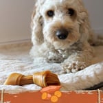 Smartbones Sweetpotato Medium Orta Boy Tatlı Patatesli Kemik 2'li, 158 Gr Köpek Ödülü