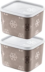 Smartware 2'Li Set No Frost Saklama Kabı Carmen 1250 ML