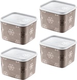 Smartware 4'Lü Set No Frost Saklama Kabı Terra 1250 ML