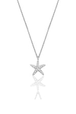 Söğütlü Silver Gümüş rodyumlu zirkon taşlı deniz yıldızı kolye ve küpe ikili set