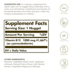 Solgar Vitamin B12 1000mcg 100 Tablet
