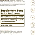 Solgar Vitamin B12 1000mcg 100 Tablet