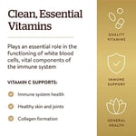 Solgar Vitamin C 1000 Mg 90 Tablet