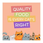 Somonlu Kedi Ödülü 80gr