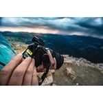 Sony SF-G128T SD Hafıza Kartı (128 GB, UHS-II, SD Tough, G Serisi)