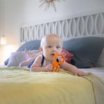Sophie la Girafe 3056560103139 Diş Kaşıyıcı, Çok Renkli